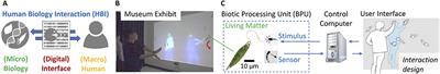 Micro-HBI: Human-Biology Interaction With Living Cells, Viruses, and Molecules